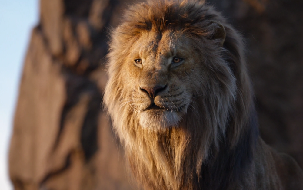 Liveaction do Rei Leão ganhará sequência chamada 'Mufasa' Teoria