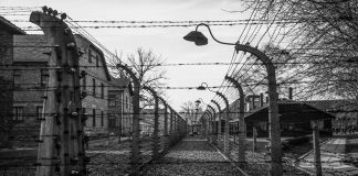 O Nazifascismo no Cinema