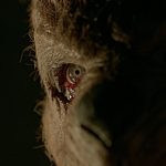 Ursinho Pooh: Sangue e Mel 2 recebe novas imagens