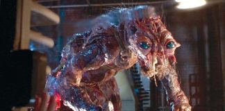 A Mosca, clássico de David Cronenberg, deve ganhar sequência