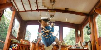 Paddington: Uma Aventura na floresta | Confira nossa crítica