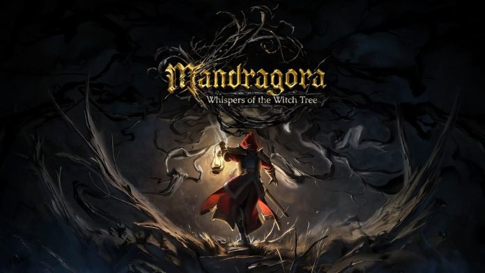Mandragora