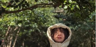 Escritora Best-seller, Baek S-hee, Morre aos 35 anos