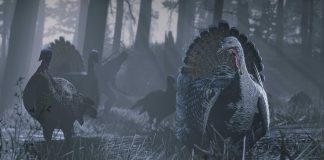 Dia de Ação de Graças em Red Dead Online: Bônus de Mercador, Traje Rexroad de volta e mais