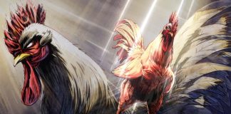 Calendário TG | Rooster Fighter