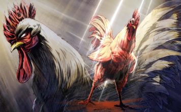 Calendário TG | Rooster Fighter